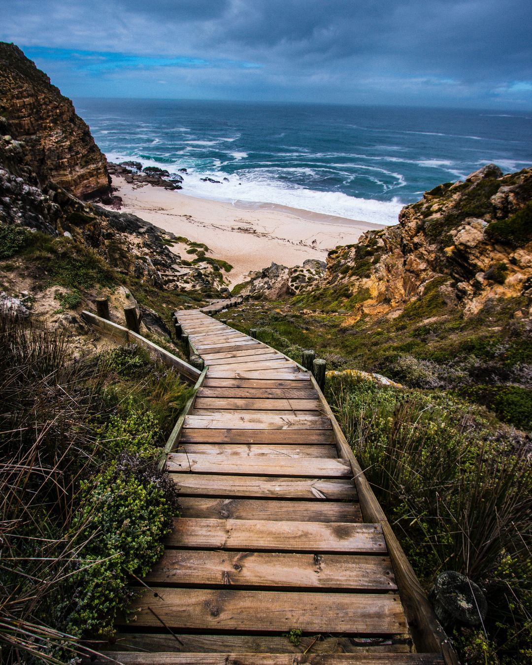 Boardwalk path symbolizing emotional healing and natural therapy for anxiety